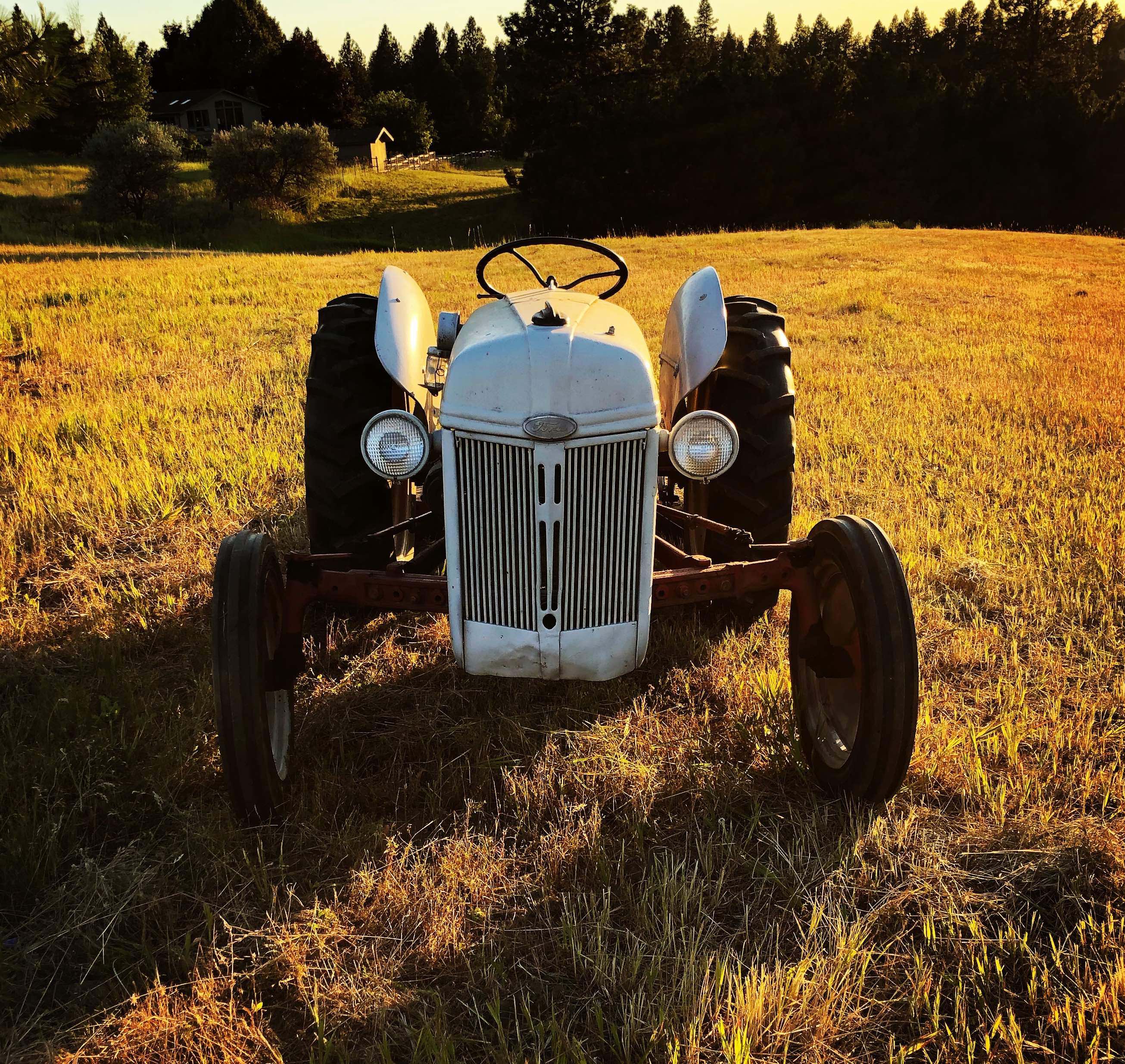 1946 Ford 8n tractor